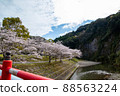 Spring beautiful cherry blossoms 88563224