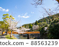 Spring beautiful cherry blossoms 88563239