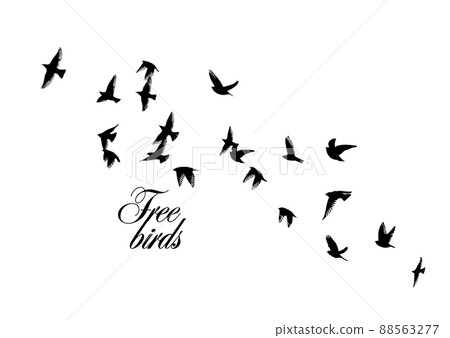 A flock of flying birds. Free birds. Vector illustration A flock of flying birds. Free birds. Vector illustration 88563277