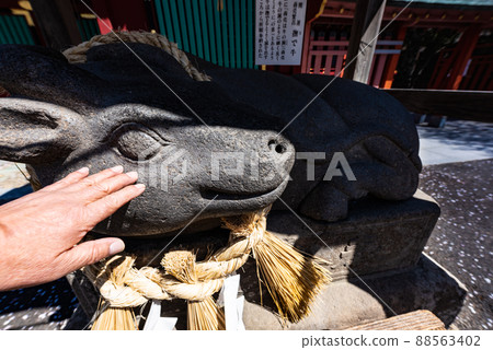 石和彥神社鹽灶神社撫摸牛 88563402