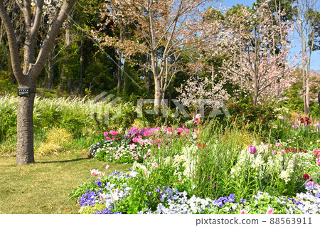 橫濱里山花園 88563911