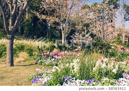 橫濱里山花園 88563912