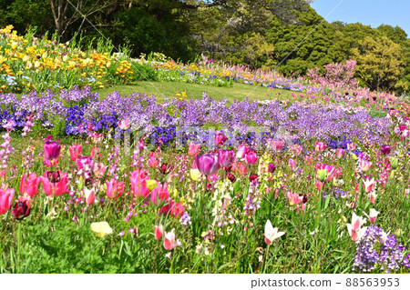 橫濱里山花園 橫濱里山花園 88563953