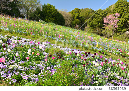 橫濱里山花園 88563989