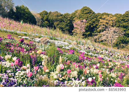 橫濱里山花園 88563993