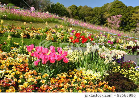 橫濱里山花園 88563996