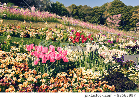 橫濱里山花園 88563997