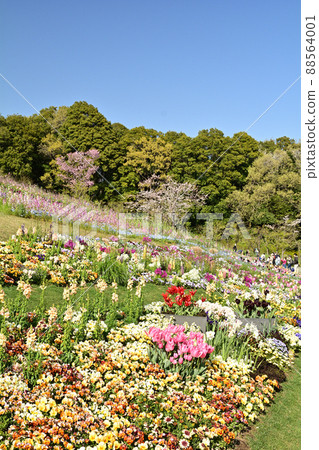 Yokohama Satoyama Garden 88564001