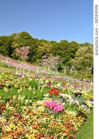 橫濱里山花園 88564006