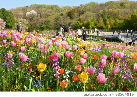 Yokohama Satoyama Garden 88564019
