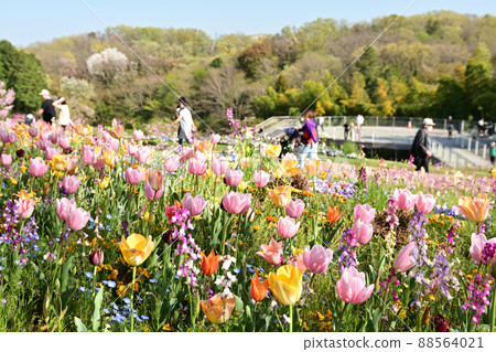 Yokohama Satoyama Garden 88564021