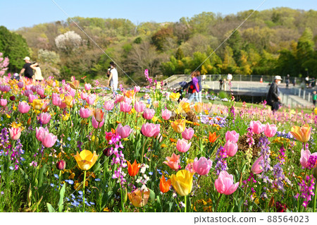 Yokohama Satoyama Garden Yokohama Satoyama Garden 88564023