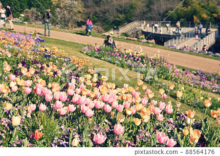 橫濱里山花園 橫濱里山花園 88564176