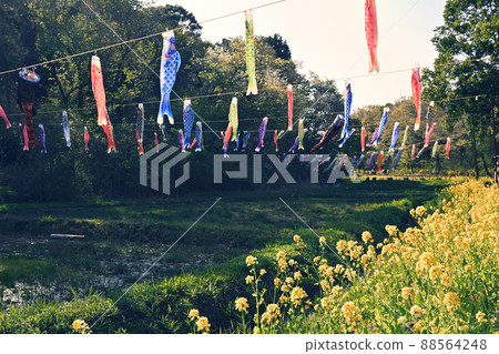 橫濱里山花園 88564248