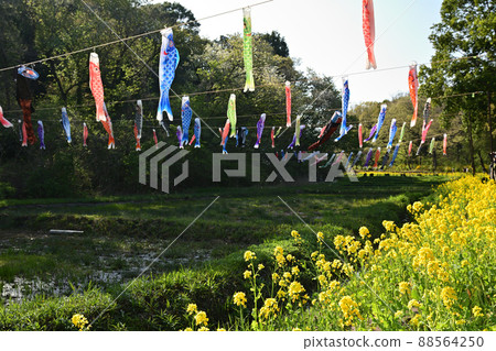 橫濱里山花園 88564250