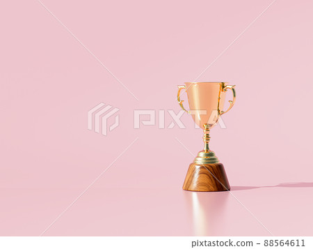 The winner trophy 88564611