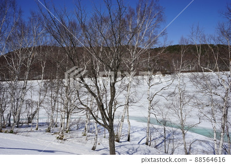 Lake Iwado in spring Lake Iwado in spring 88564616