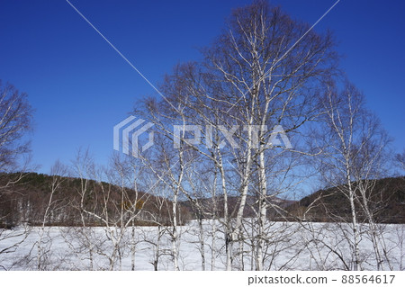 Lake Iwado in spring Lake Iwado in spring 88564617