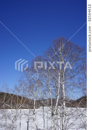 Lake Iwado in spring Lake Iwado in spring 88564618