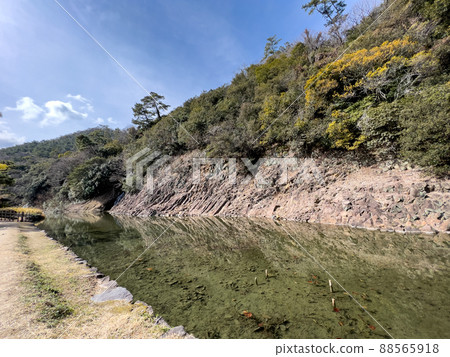 Ritsurin Garden in the spring (mid-February) 88565918