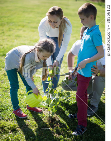 Family parents and children planting tree sapling in summer park Family parents and children planting tree sapling in summer park 88566122