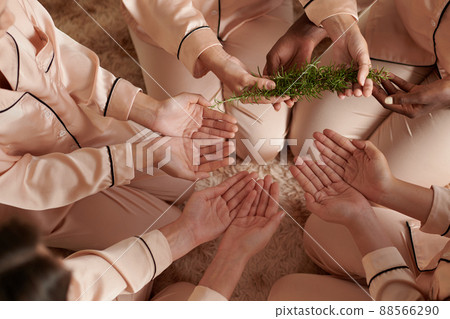 Rosemary For Magic Ritual 88566290