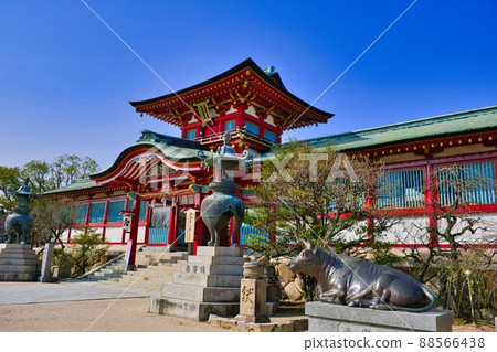 山口縣防府市防府天滿宮 山口縣防府市防府天滿宮 88566438