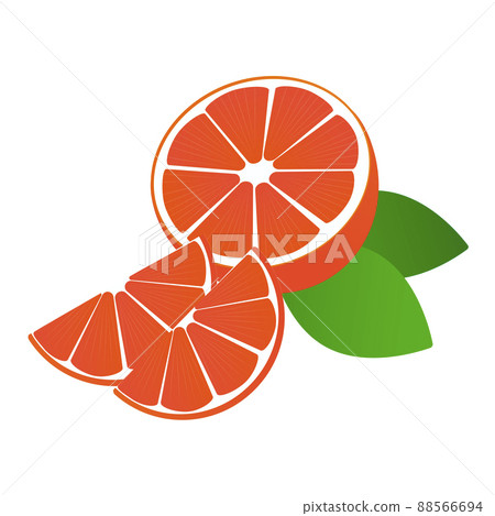 Grapefruit with leaves, vector illustration, eps 10 88566694