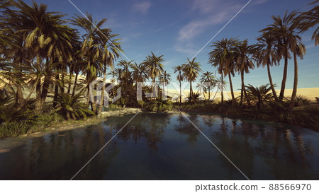 pond and palm trees in desert oasis 88566970