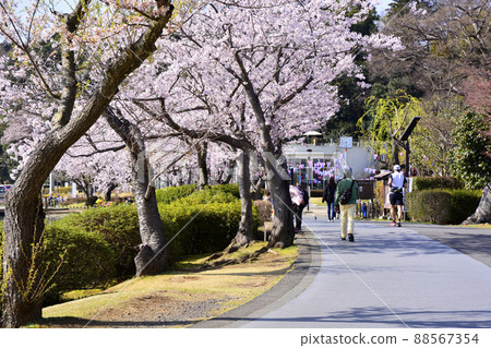 人們在千場公園附近慢跑 人們在千場公園附近慢跑 88567354