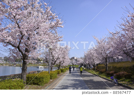 人們在千場公園附近慢跑 人們在千場公園附近慢跑 88567477