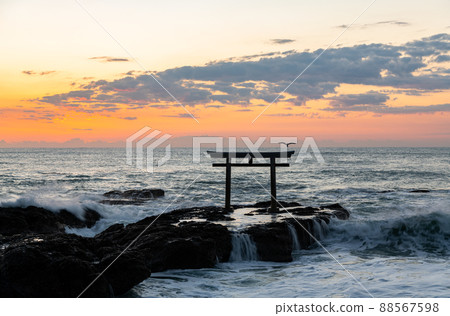 Oarai Town, Ibaraki Prefecture Oarai Isozen Shrine illuminated by the morning sun Kamiiso no Torii 88567598