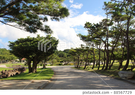 沖繩縣糸滿市和平廣場沖繩和平紀念公園 Mabuni 的入口 沖繩縣糸滿市和平廣場沖繩和平紀念公園 Mabuni 的入口 88567729