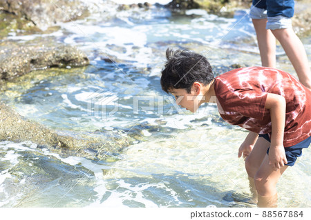 心岩海岸 88567884