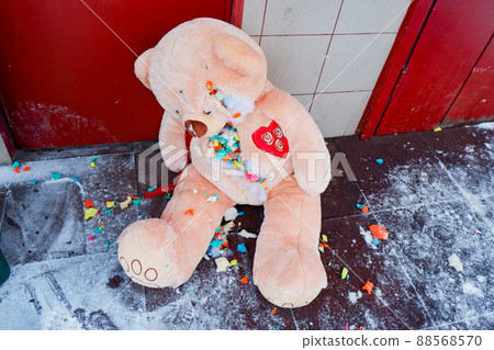 a gutted stuffed teddy bear lies torn apart by a dumpster a gutted stuffed teddy bear lies torn apart by a dumpster 88568570