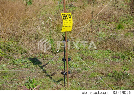 電擊圍欄現場 電擊圍欄現場 電擊圍欄現場 電擊圍欄現場 88569096