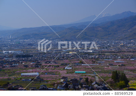 Kofu Basin when peach blossoms bloom Kofu Basin when peach blossoms bloom 88569529