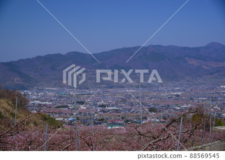 桃花盛開時的甲府盆地 桃花盛開時的甲府盆地 88569545
