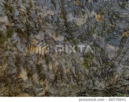 Rugged bark texture 88570641