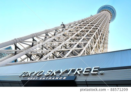 從東入口仰望天空樹 88571209