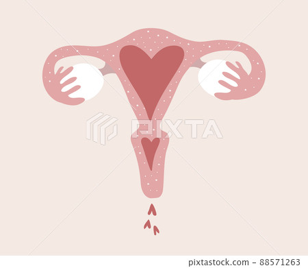Female uterus with ovaries and heart symbol. The concept of women s love for themselves and their genitals, sex education, motherhood and pregnancy. Flat vector icon, illustration isolated. 88571263