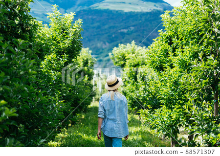 Female traveler strolling in colorful plantation 88571307