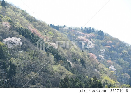 多彩里山 88571448