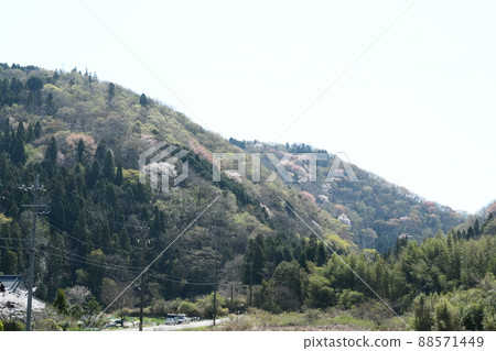 多彩里山 88571449