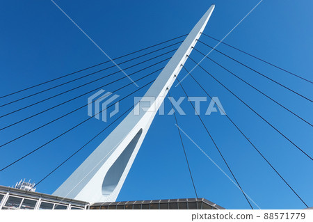 Teleport Bridge (in front of Tokyo Teleport Station on the Rinkai Line) Teleport Bridge (in front of Tokyo Teleport Station on the Rinkai Line) 88571779