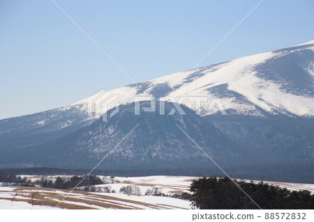 Koasamayama 88572832