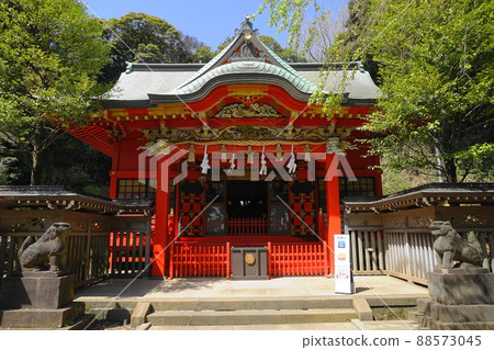 April 280 Fujisawa Hetsumiya (Enoshima Shrine) / Enoshima 88573045