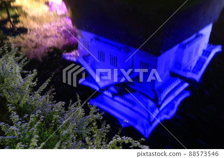 There is a water moat in Oshi Castle, which becomes a water mirror. The illuminated Oshi Castle and the cherry blossoms were fantastically emerging. 88573546