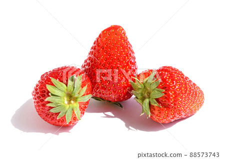 Ichigo（紅臉頰） 88573743