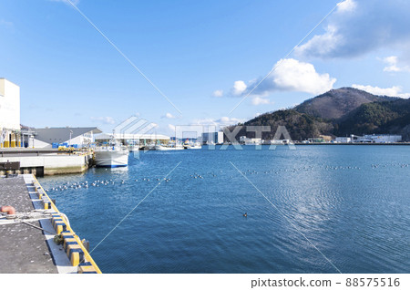 女川港 2022 年冬季 88575516